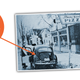 Illustration for article titled This Old Beetle Is Worth About $500 Million Because Of Pizza